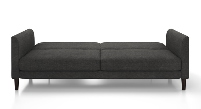 Deurocity Sofa Cum Bed(Grey)